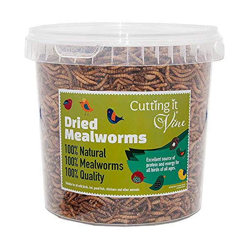 Meal Worms (2L Tub) Dried Mealworms for Birds, The Ultimate Bird Food
