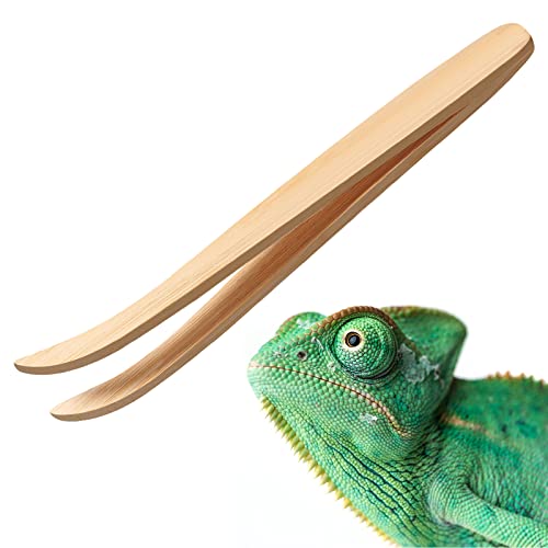 Nuenen Bamboo Feeding Tweezers Reptile Feeding Tongs 6.5 Inch Long